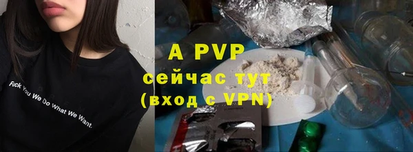 гидра Заволжск