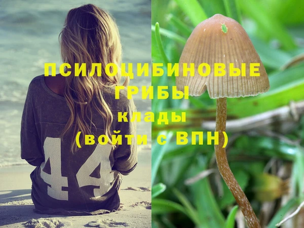 гидра Заволжск