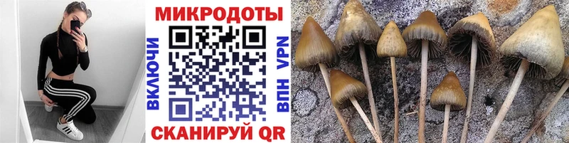 Купить где  Среднеуральск  Галлюциногенные грибы мицелий 